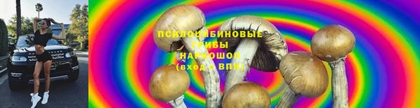 MESCALINE Вяземский