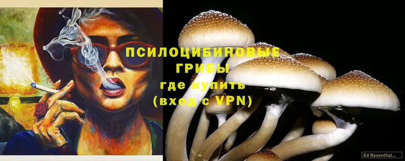 Псилоцибиновые грибы Magic Shrooms  Лесосибирск 